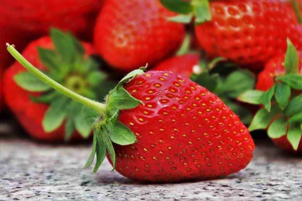 Mazot de Vex fraises Valais mai